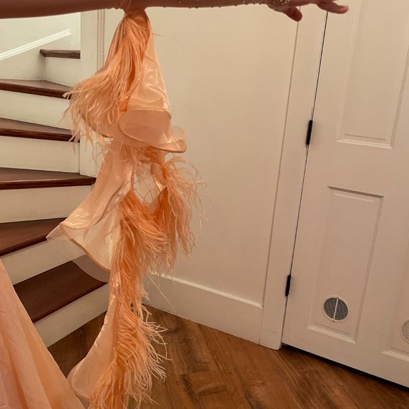 Competition Standard Dress - pre-owned - Picture 9 of 11